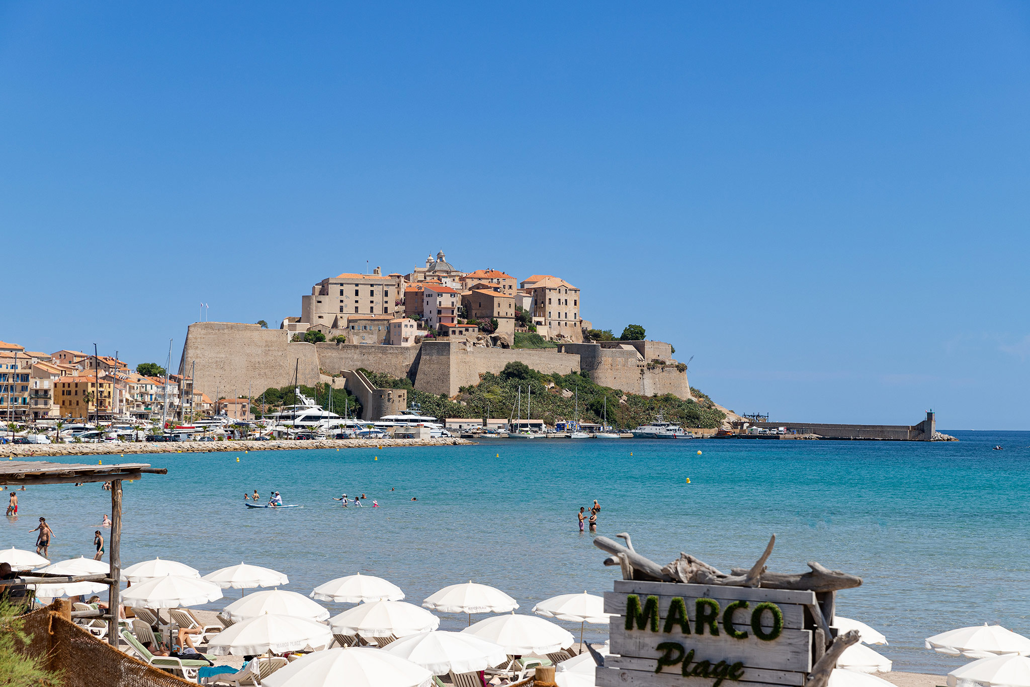 Calvi